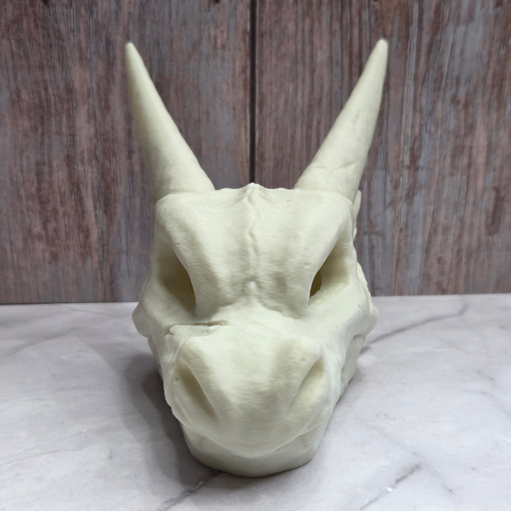 Mega Charizard EX Skull