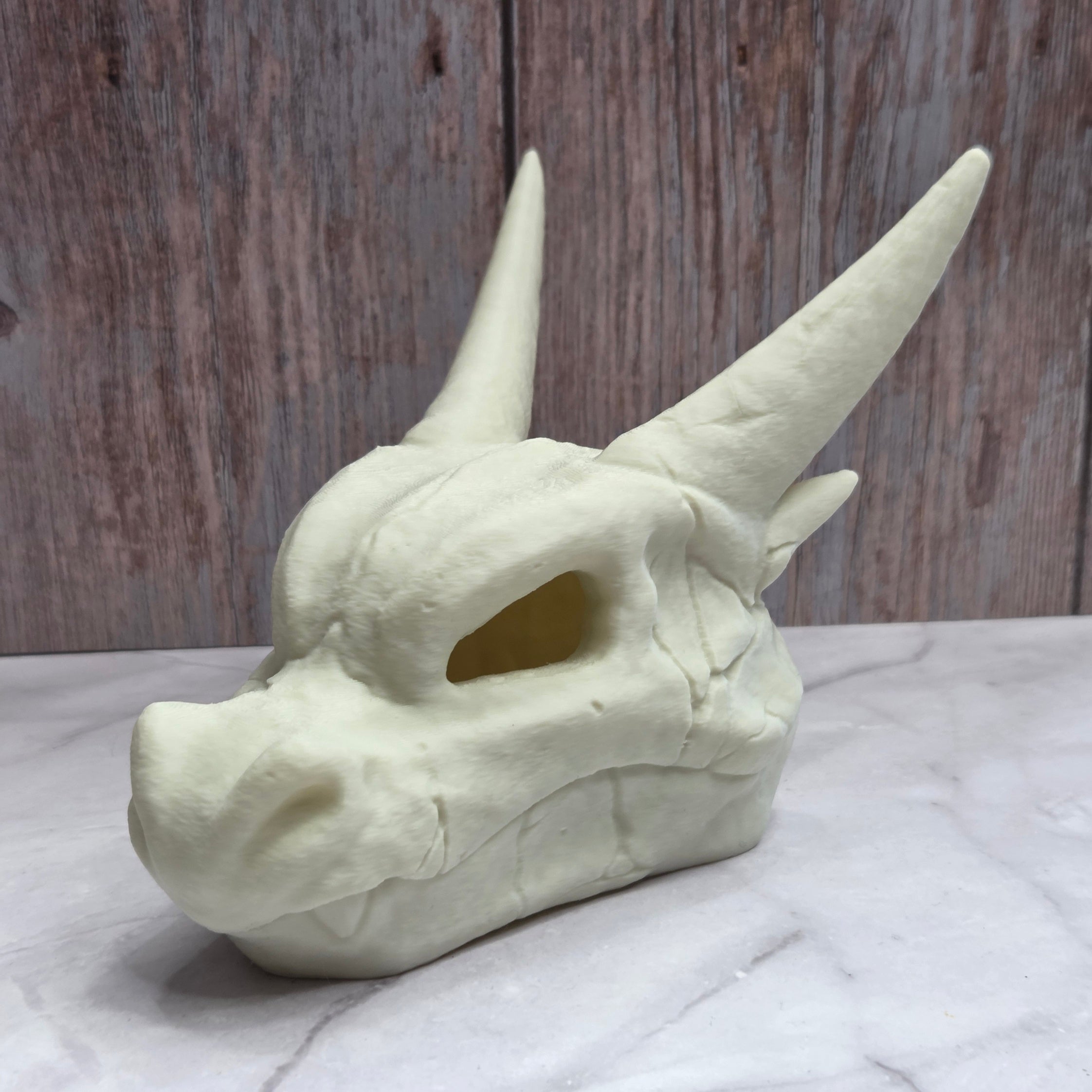 Mega Charizard EX Skull