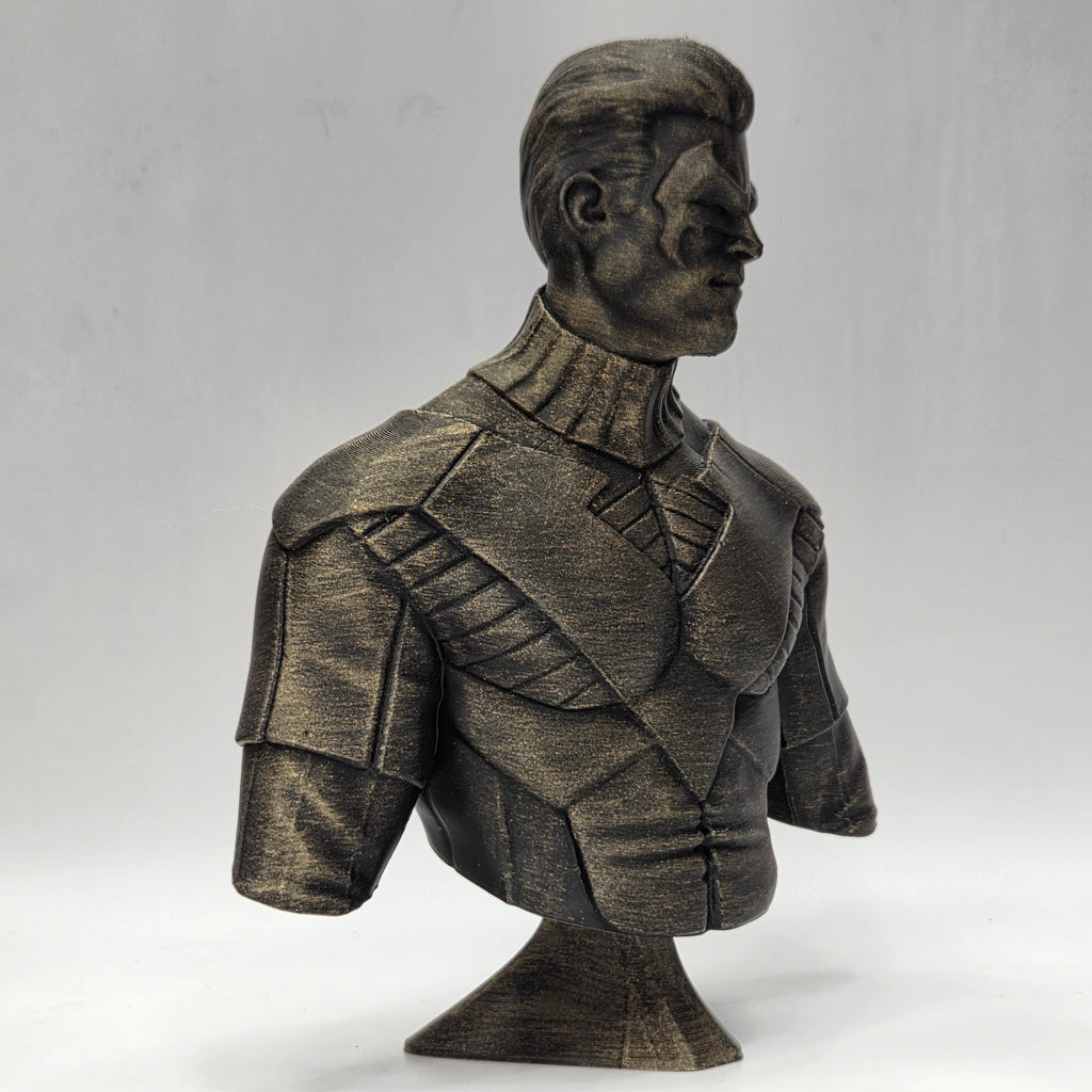 Nightwing Bust