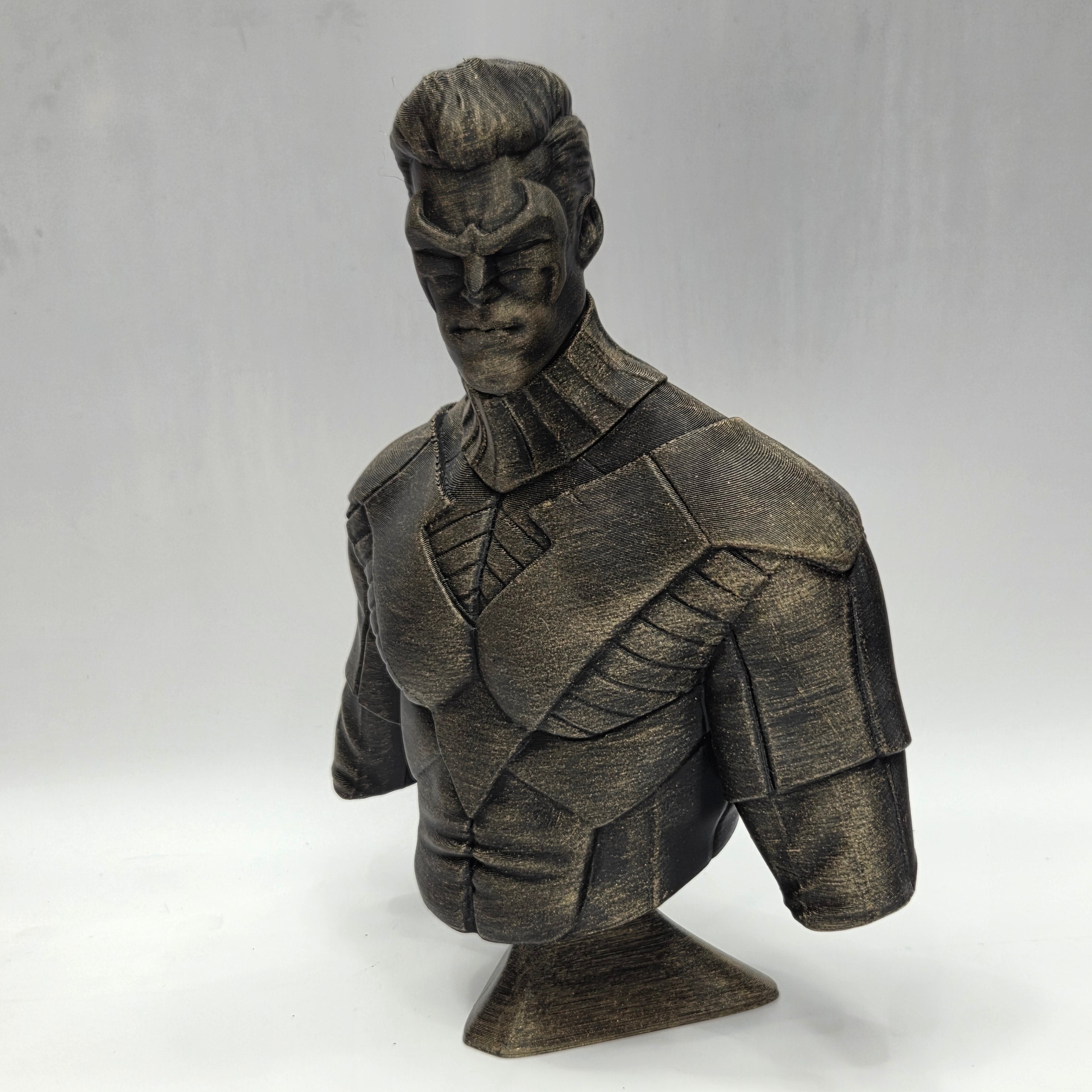Nightwing Bust